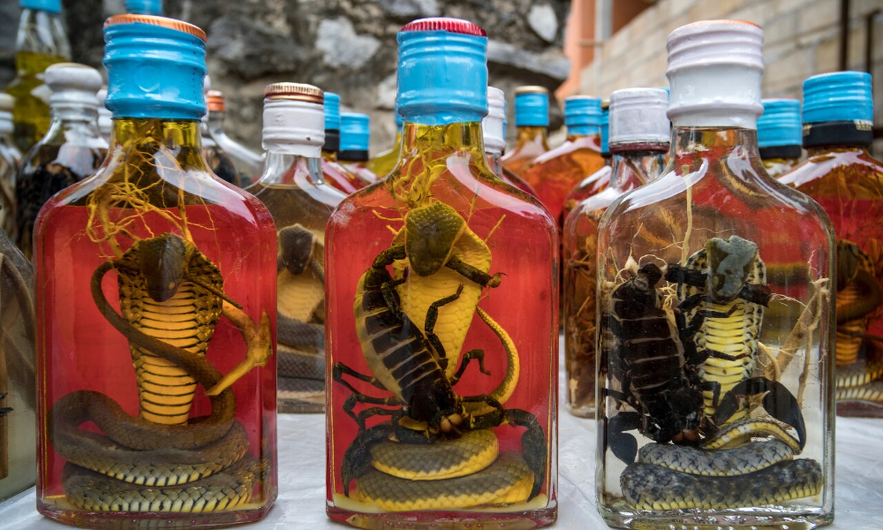 Wąż w butelce whiskey z Laosu