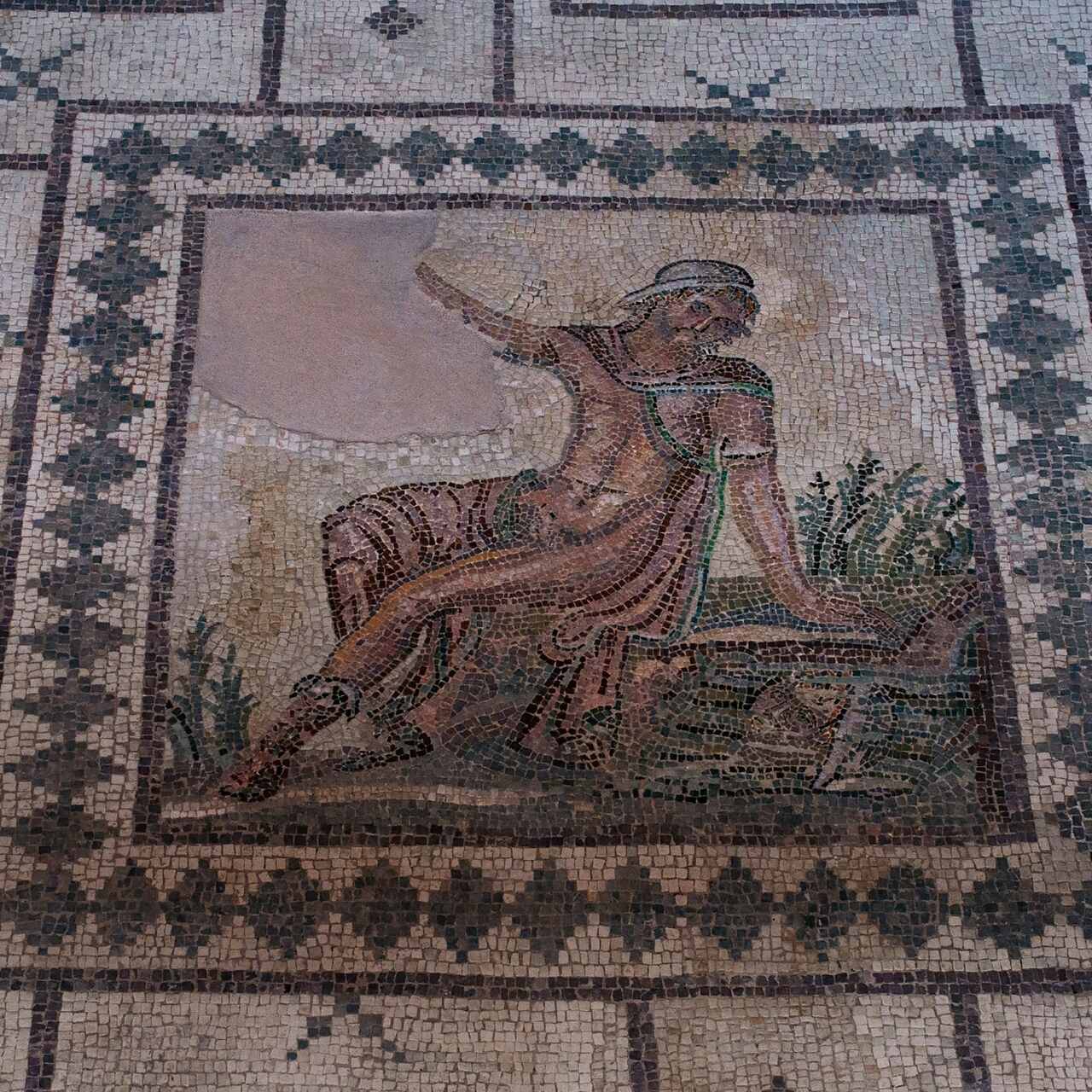 Mozaika w Domu Dionizosa